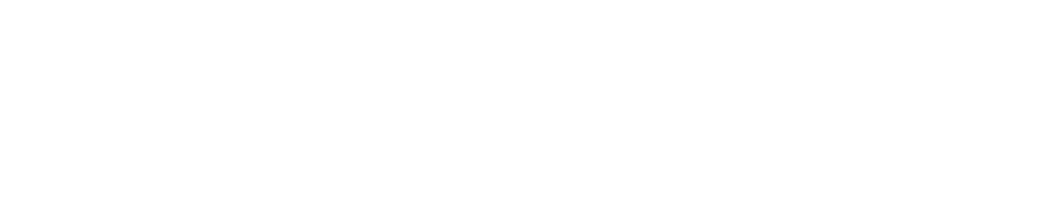 Lulu-Blue-Studio-Logo-Script
